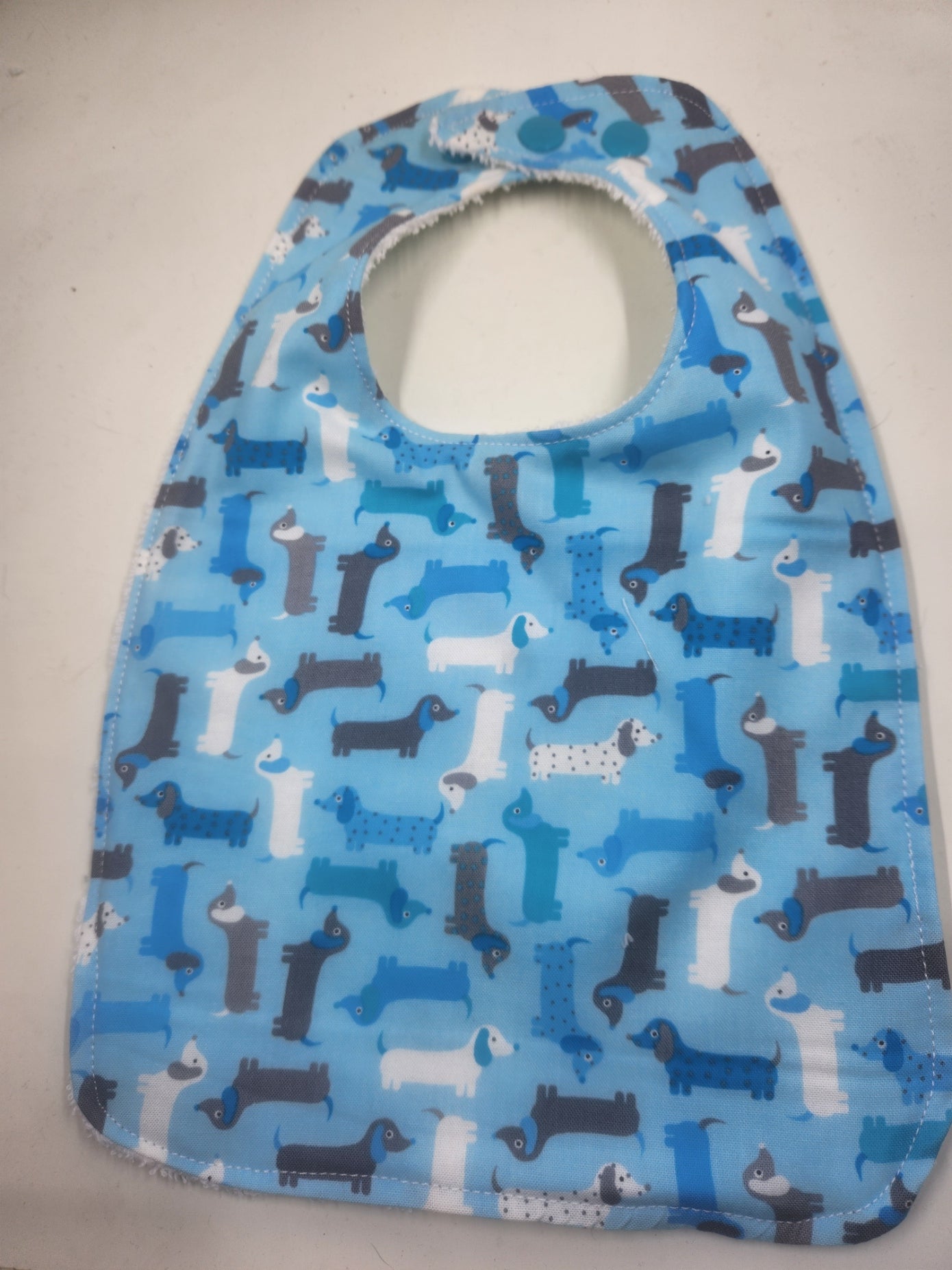 Blue Dachshund
