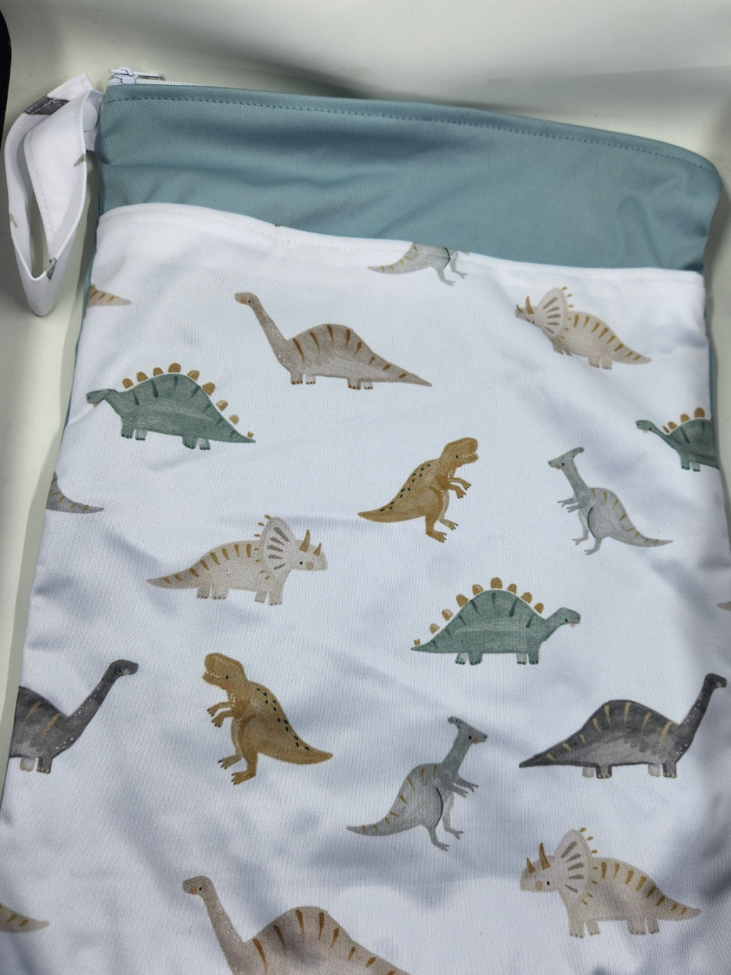 Dinosaur Storage Bag