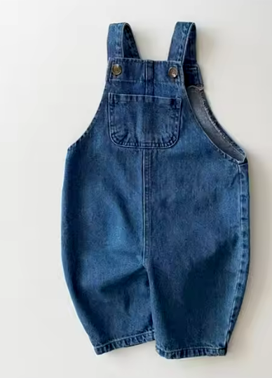 Navy Overalls