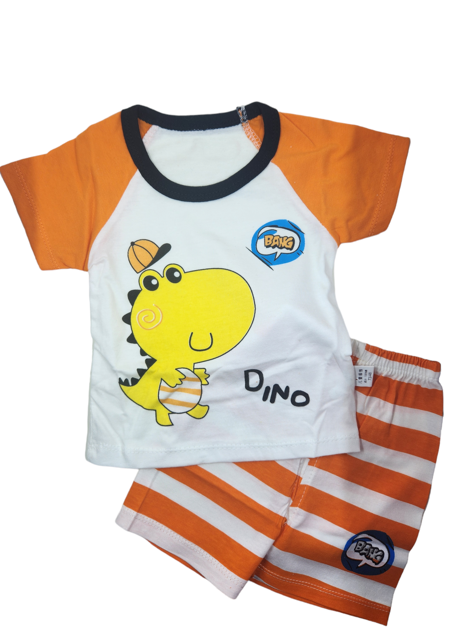 Dinosaur T Shirt + Short Set