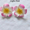 Frangipani Hair Clips