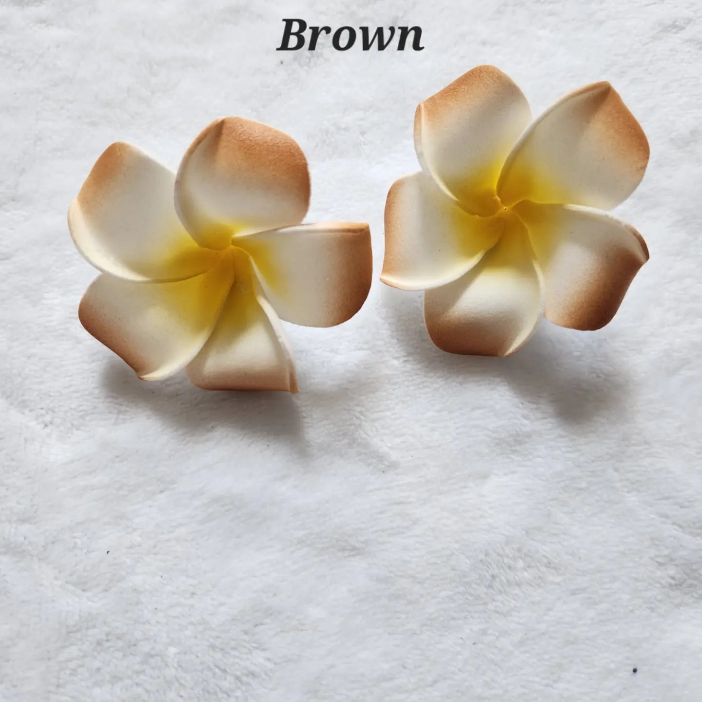 Frangipani Hair Clips